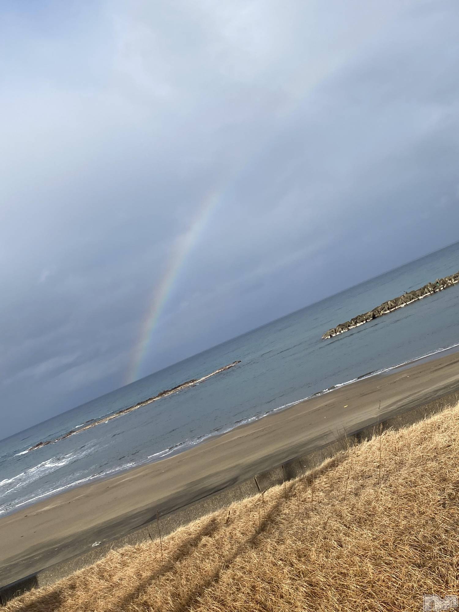 ��ˬ����Х��顦����֥���� �ץ���� ��ˬ(����� �ץ���� ����) ��2024ǯ1��4���̥�֥�����1��4�� 15��58ʬ�Υ֥�����