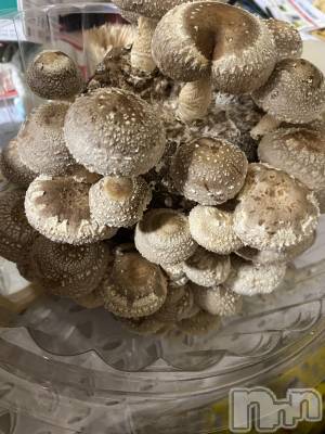 ��ˬ����Х��顦����֥���� �ץ���� ��ˬ(����� �ץ���� ����) ����  ���(24)��2��26���̥�֥����ֽ���♥️��