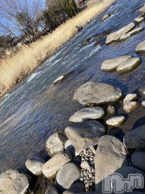 ��ˬ����Х��顦����֥���� �ץ���� ��ˬ(����� �ץ���� ����) ����  ���(24)��3��2���̥�֥�����🎈🎈🎈��