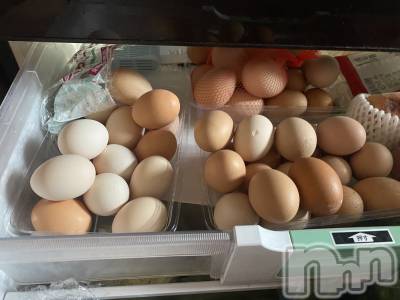 ��ˬ����Х��顦����֥���� �ץ���� ��ˬ(����� �ץ���� ����) ����  ���(24)��7��10���̥�֥�����7��10�� 19��51ʬ�Υ֥�����