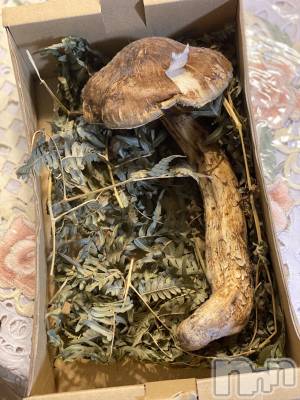 ��ˬ����Х��顦����֥���� �ץ���� ��ˬ(����� �ץ���� ����) ����  ���(24)��10��6���̥�֥����֤���Ф��😂��