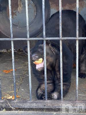 ��ˬ����Х��顦����֥���� �ץ���� ��ˬ(����� �ץ���� ����) ����  ���(24)��12��20���̥�֥�����12��20�� 20��04ʬ�Υ֥�����