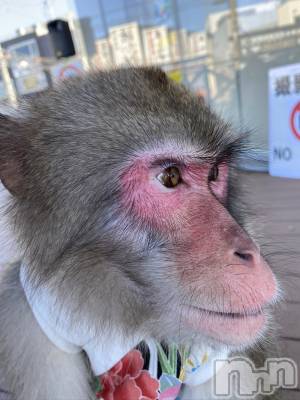 ��ˬ����Х��顦����֥���� �ץ���� ��ˬ(����� �ץ���� ����) ����  ���(24)��4��12���̥�֥�����4��12�� 13��44ʬ�Υ֥�����