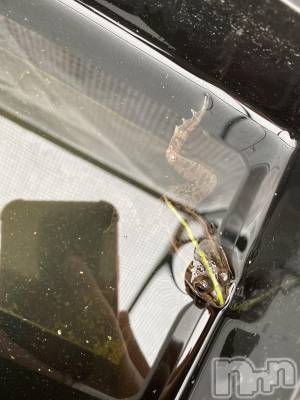 ��ˬ����Х��顦����֥���� �ץ���� ��ˬ(����� �ץ���� ����) ����  ���(24)��6��16���̥�֥�����6��16�� 19��38ʬ�Υ֥�����