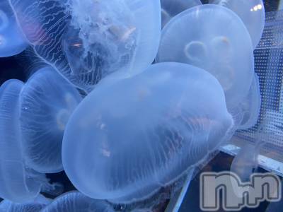 ��ˬ����Х��顦����֥���� �ץ���� ��ˬ(����� �ץ���� ����) ����  ���(24)��9��16���̥�֥�����9��16�� 19��50ʬ�Υ֥�����