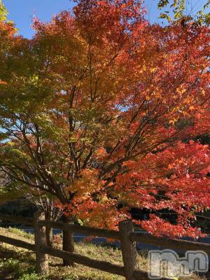 ��ˬ����Х��顦����֥���� �ץ���� ��ˬ(����� �ץ���� ����) ����  ���(24)��11��4���̥�֥�����11��4�� 19��51ʬ�Υ֥�����