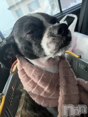 ��ˬ����Х��顦����֥���� �ץ���� ��ˬ(����� �ץ���� ����) ����  ���(24)��1��27���̥�֥�����1��27�� 14��55ʬ�Υ֥�����