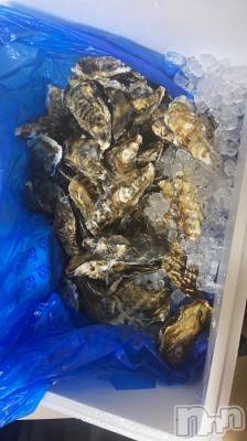 ��ˬ����Х��顦����֥���� �ץ���� ��ˬ(����� �ץ���� ����) ����  ���(24)��3��5���̥�֥�����3��5�� 18��49ʬ�Υ֥�����