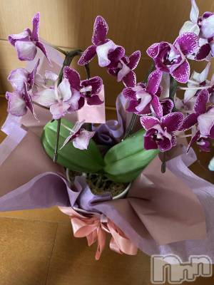 ��ˬ����Х��顦����֥���� �ץ���� ��ˬ(����� �ץ���� ����) ����  ���(24)��3��8���̥�֥�����3��8�� 18��06ʬ�Υ֥�����