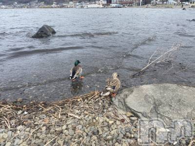 ��ˬ����Х��顦����֥���� �ץ���� ��ˬ(����� �ץ���� ����) ����  ���(24)��3��30���̥�֥�����3��30�� 13��43ʬ�Υ֥�����