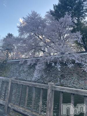 ��ˬ����Х��顦����֥���� �ץ���� ��ˬ(����� �ץ���� ����) ����  ���(24)��4��11���̥�֥�����4��11�� 19��48ʬ�Υ֥�����