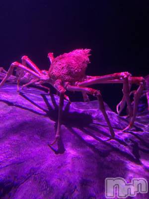 ��ˬ����Х��顦����֥���� �ץ���� ��ˬ(����� �ץ���� ����) ����  ���(24)��5��4���̥�֥�����5��4�� 18��41ʬ�Υ֥�����