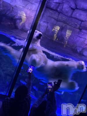 ��ˬ����Х��顦����֥���� �ץ���� ��ˬ(����� �ץ���� ����) ����  ���(24)��5��8���̥�֥�����5��8�� 10��35ʬ�Υ֥�����