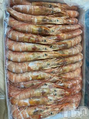 ��ˬ����Х��顦����֥���� �ץ���� ��ˬ(����� �ץ���� ����) ����  ���(24)��5��13���̥�֥�����5��13�� 15��10ʬ�Υ֥�����