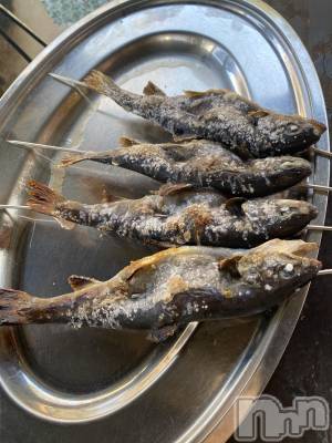 ��ˬ����Х��顦����֥���� �ץ���� ��ˬ(����� �ץ���� ����) ����  ���(24)��5��16���̥�֥�����5��16�� 16��34ʬ�Υ֥�����