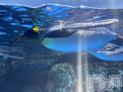 ��ˬ����Х��顦����֥���� �ץ���� ��ˬ(����� �ץ���� ����) ����  ���(24)��5��18���̥�֥�����5��18�� 19��27ʬ�Υ֥�����