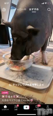 ��ˬ����Х��顦����֥���� �ץ���� ��ˬ(����� �ץ���� ����) ����  ���(24)��5��20���̥�֥�����5��20�� 16��42ʬ�Υ֥�����