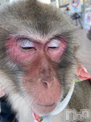 ��ˬ����Х��顦����֥���� �ץ���� ��ˬ(����� �ץ���� ����) ����  ���(24)��5��24���̥�֥�����5��24�� 18��49ʬ�Υ֥�����