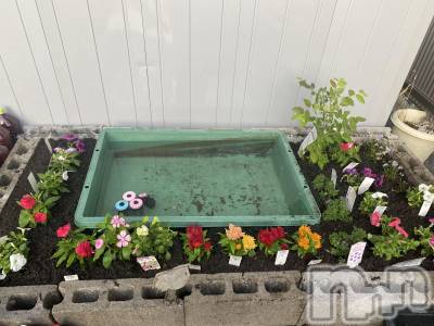 ��ˬ����Х��顦����֥���� �ץ���� ��ˬ(����� �ץ���� ����) ����  ���(24)��6��6���̥�֥�����6��6�� 13��21ʬ�Υ֥�����