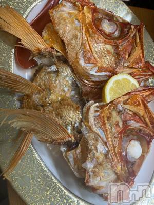 ��ˬ����Х��顦����֥���� �ץ���� ��ˬ(����� �ץ���� ����) ����  ���(24)��6��8���̥�֥�����6��8�� 19��29ʬ�Υ֥�����