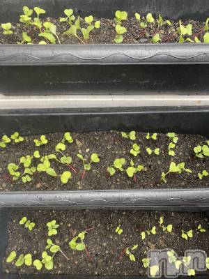 ��ˬ����Х��顦����֥���� �ץ���� ��ˬ(����� �ץ���� ����) ����  ���(24)��6��22���̥�֥�����6��22�� 16��05ʬ�Υ֥�����