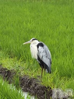 ��ˬ����Х��顦����֥���� �ץ���� ��ˬ(����� �ץ���� ����) ����  ���(24)��6��23���̥�֥�����6��23�� 14��21ʬ�Υ֥�����