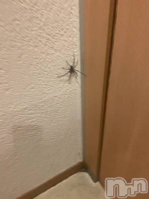 ��ˬ����Х��顦����֥���� �ץ���� ��ˬ(����� �ץ���� ����) ����  ���(24)��6��26���̥�֥�����6��26�� 15��13ʬ�Υ֥�����