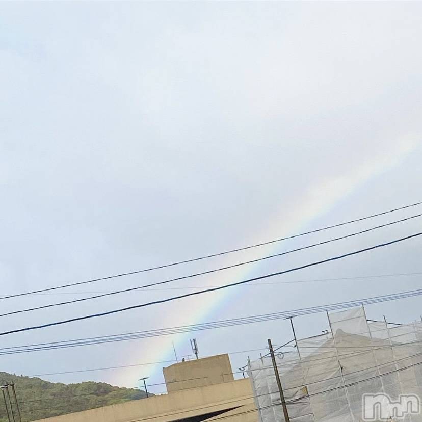 Ʋʥå륺СMuscat`s(ޥå) Ҥ33̥֥Ǥ͡