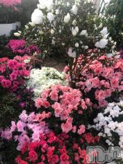 新潟デリヘル五十路マダム新潟店(カサブランカグループ)(イソジマダムニイガタテン) 山瀬あかり(46)の2月22日写メブログ「お久しぶりです」