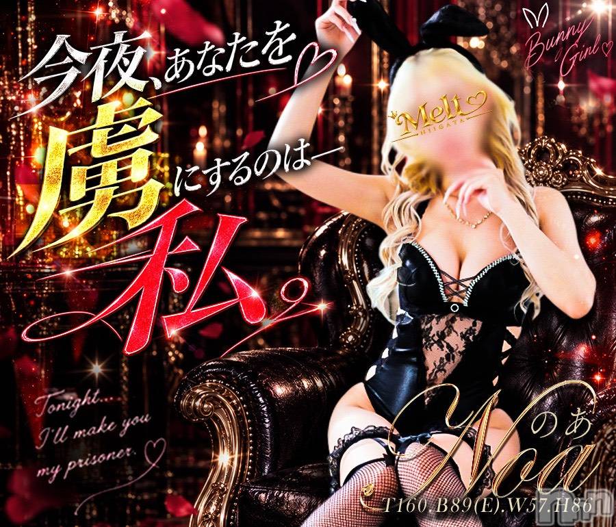 新潟デリヘル(メルト)の2026年10月18日お店速報「ちょっぴり大胆なバニーと」