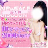 新潟デリヘル Melt(メルト)の2月24日お店速報「入店1か月未満のキャスト限定⚠️ おためし”新人割”」