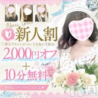 新潟風俗エステ Melt(メルト)の9月4日お店速報「本日注目セラピストさんが多数出勤致します♪　お電話お待ちしております！」