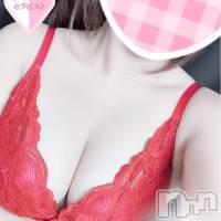 新潟風俗エステ Melt(メルト)の12月23日お店速報「癒しと色気を兼ね備えた超逸材!? ”さやかちゃん”は最終26時までです！」