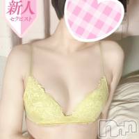 新潟風俗エステ Melt(メルト)の2月7日お店速報「両方を兼ね備えたプレミア美少女しずくちゃんと昼割でお得に遊んじゃおう♬」