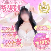 新潟風俗エステ Melt(メルト)の3月1日お店速報「初めてお店を使う新規限定4000円OFF💕でお得に遊んで下さい💚」