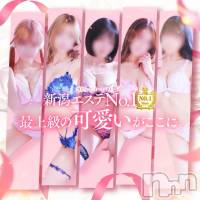 新潟風俗エステ Melt(メルト)の5月2日お店速報「💕昼割4000円OFF・フリー割5000円OFFでご利用下さい💕」