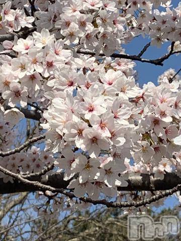 上越デリヘル上越風俗出張アロママッサージ(ジョウエツフウゾクシュッチョウアロママッサージ)かなお★画伯(37)の2021年9月19日写メブログ「遠方より遥々と…！」