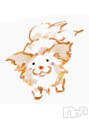 上越デリヘル 上越風俗出張アロママッサージ(ジョウエツフウゾクシュッチョウアロママッサージ) かなお★画伯(37)の3月12日写メブログ「出勤できなくなりました?」