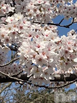 上越デリヘル 上越風俗出張アロママッサージ(ジョウエツフウゾクシュッチョウアロママッサージ) かなお★画伯(37)の9月19日写メブログ「遠方より遥々と…！」