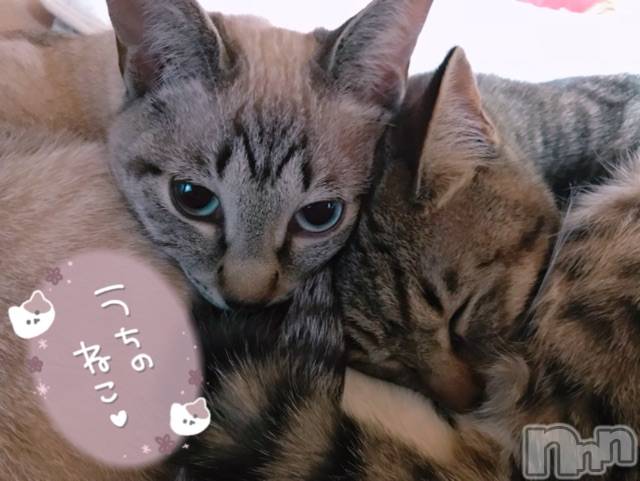 上越デリヘル上越最安値！奥様Deli急便(ジョウエツサイヤスネ！オクサマデリキュウビン) 超激レア奥様！ みいこ(38)の3月22日写メブログ「おはよ」