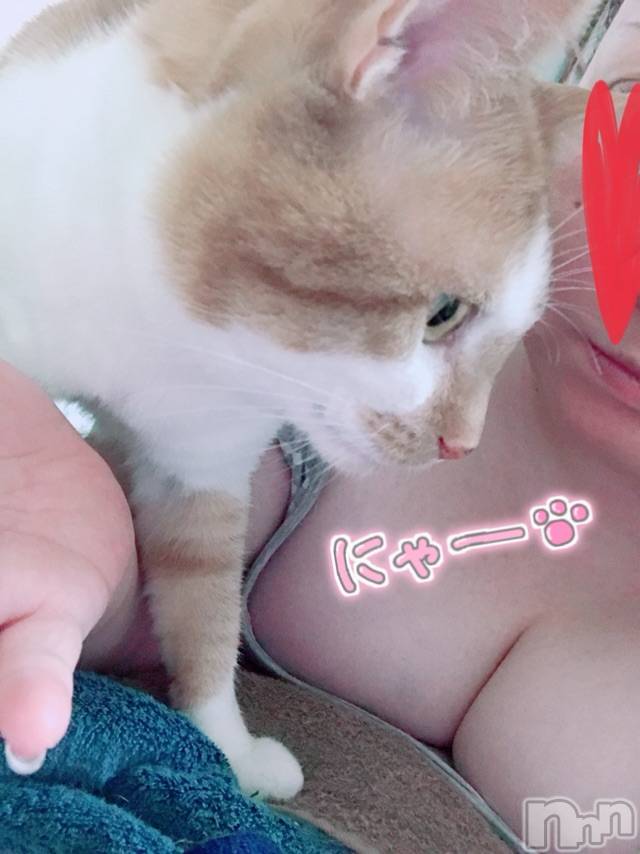 上越デリヘル上越最安値！奥様Deli急便(ジョウエツサイヤスネ！オクサマデリキュウビン)超激レア奥様！ みいこ(38)の2026年5月3日写メブログ「明日は」