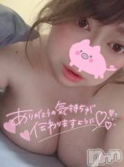 上越デリヘル上越最安値！奥様Deli急便(ジョウエツサイヤスネ！オクサマデリキュウビン) 超激レア奥様！ みいこ(38)の11月15日写メブログ「ちゅーもーく」