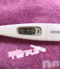 上越デリヘル上越最安値！奥様Deli急便(ジョウエツサイヤスネ！オクサマデリキュウビン) 超激レア奥様！ みいこ(38)の11月19日写メブログ「たいおん」