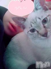 上越デリヘル上越最安値！奥様Deli急便(ジョウエツサイヤスネ！オクサマデリキュウビン) 超激レア奥様！ みいこ(38)の5月26日写メブログ「出勤」