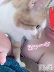 上越デリヘル上越最安値！奥様Deli急便(ジョウエツサイヤスネ！オクサマデリキュウビン) 超激レア奥様！ みいこ(38)の5月3日写メブログ「明日は」