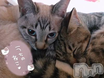 上越デリヘル 上越最安値！奥様Deli急便(ジョウエツサイヤスネ！オクサマデリキュウビン) 超激レア奥様！ みいこ(38)の3月22日写メブログ「おはよ」