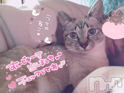 上越デリヘル 上越最安値！奥様Deli急便(ジョウエツサイヤスネ！オクサマデリキュウビン) 超激レア奥様！ みいこ(38)の4月6日写メブログ「明日！」