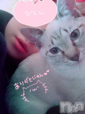 上越デリヘル 上越最安値！奥様Deli急便(ジョウエツサイヤスネ！オクサマデリキュウビン) 超激レア奥様！ みいこ(38)の11月23日写メブログ「21日のお礼①」