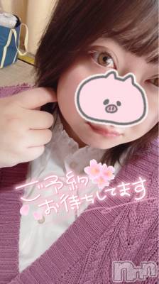 上越デリヘル 上越最安値！奥様Deli急便(ジョウエツサイヤスネ！オクサマデリキュウビン) 超激レア奥様！ みいこ(38)の4月22日写メブログ「出勤」