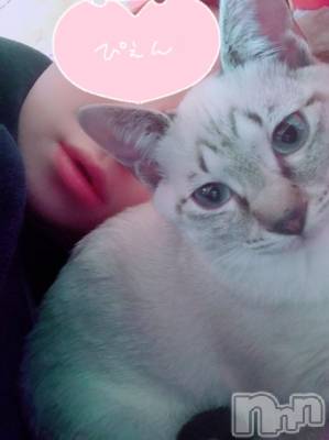 上越デリヘル 上越最安値！奥様Deli急便(ジョウエツサイヤスネ！オクサマデリキュウビン) 超激レア奥様！ みいこ(38)の1月2日写メブログ「皆さま」